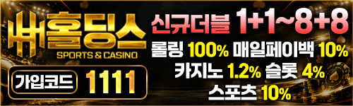 홀딩스